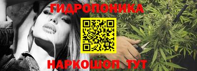 шишки Можга
