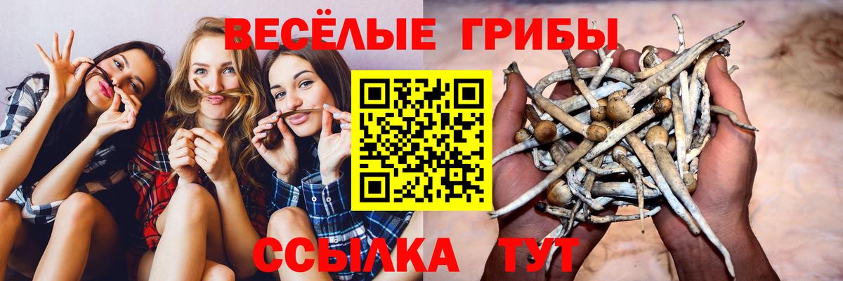 Псилоцибиновые грибы ЛСД Туапсе