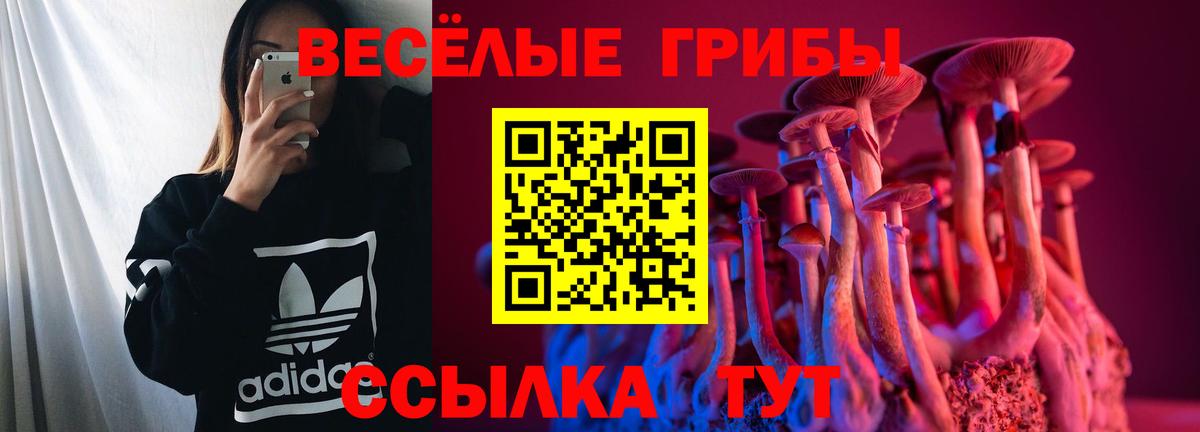 Псилоцибиновые грибы Psilocybine cubensis  Вход с VPN  Галлюциногенные грибы прущие грибы  Туапсе 