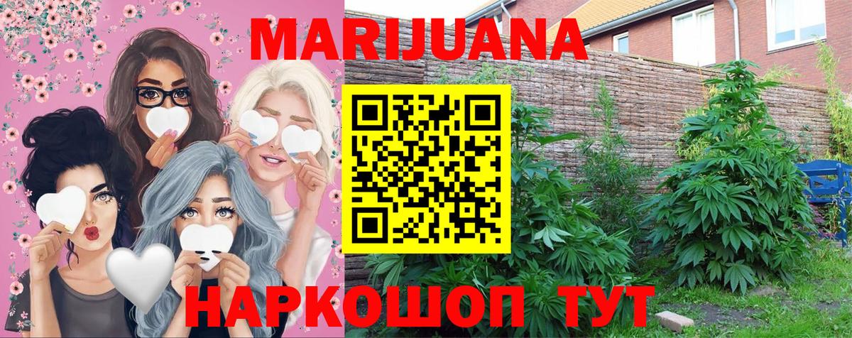 Каннабис план Туапсе